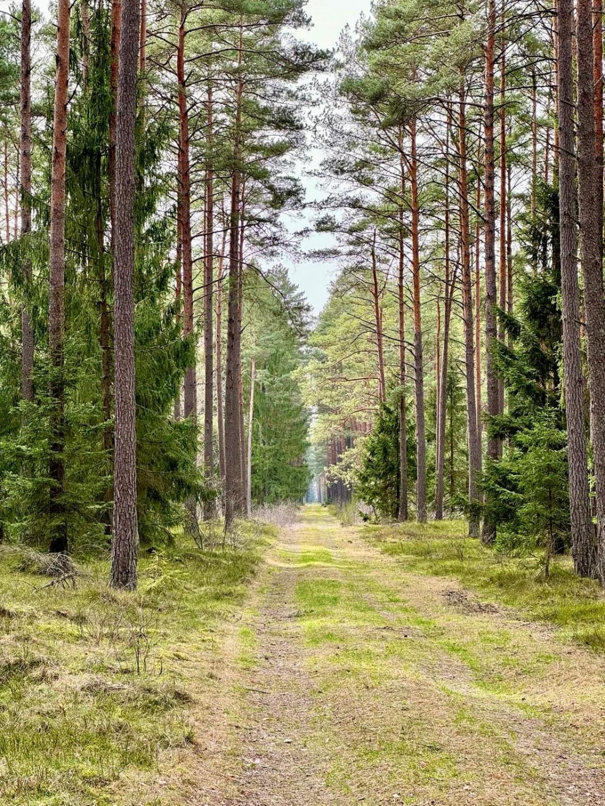 Mazurska Sarenka Villa Wiartel Buitenkant foto